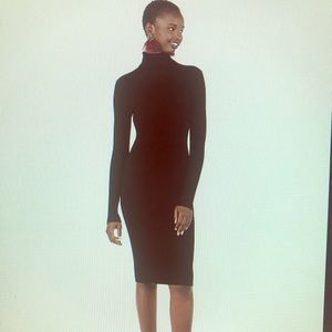 NWT Express ribbed  turtleneck midi sweater dress
